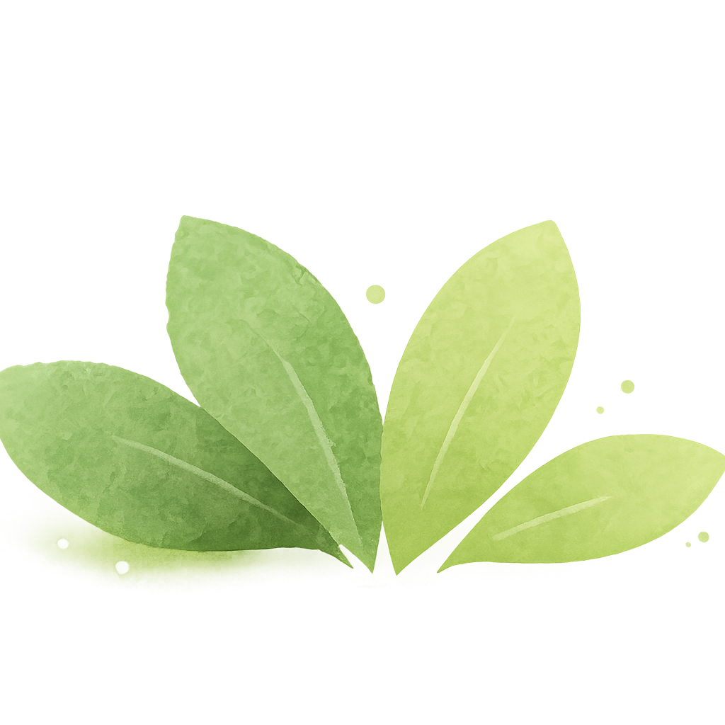 Image of plant leaves to represent growth on your diet journey and to represent healthy eating